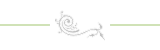 Flourish divider